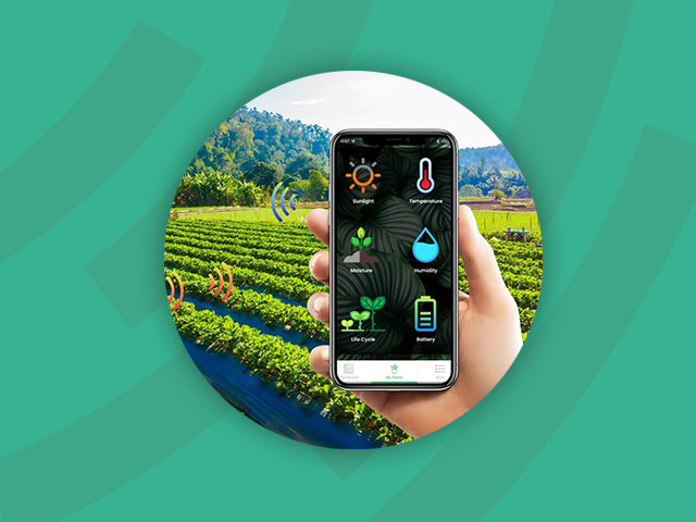اینترنت اشیا و هوش مصنوعی  به کمک سامانه هواشناسی کشاورزی آمد